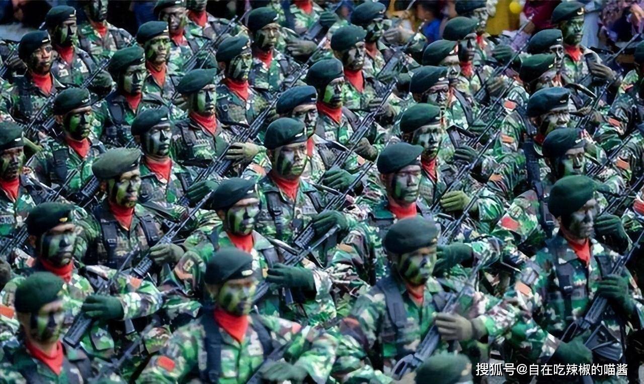 印度尼西亞軍事，多元化發(fā)展的軍事力量概述，印度尼西亞軍事力量概述，多元化發(fā)展的軍事力量探索