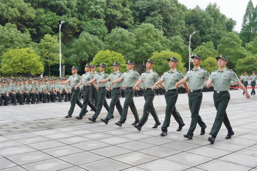 軍事綜合信息網(wǎng)組織結(jié)構(gòu)研究，軍事綜合信息網(wǎng)組織結(jié)構(gòu)深度研究