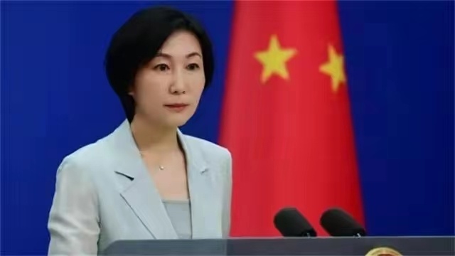 中央新聞發(fā)言人毛寧的簡歷概覽，中央新聞發(fā)言人毛寧的生平概覽