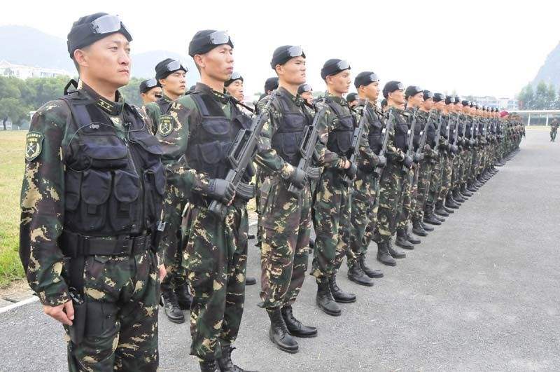 武警與陸軍的區(qū)別，職責(zé)、任務(wù)與特色的差異探討，武警與陸軍職責(zé)、任務(wù)與特色差異探討，兩大軍種的區(qū)別解析