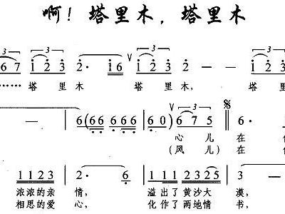 塔里木伴奏MP3，音樂與技術(shù)的完美結(jié)合，塔里木伴奏MP3，音樂與技術(shù)的完美融合
