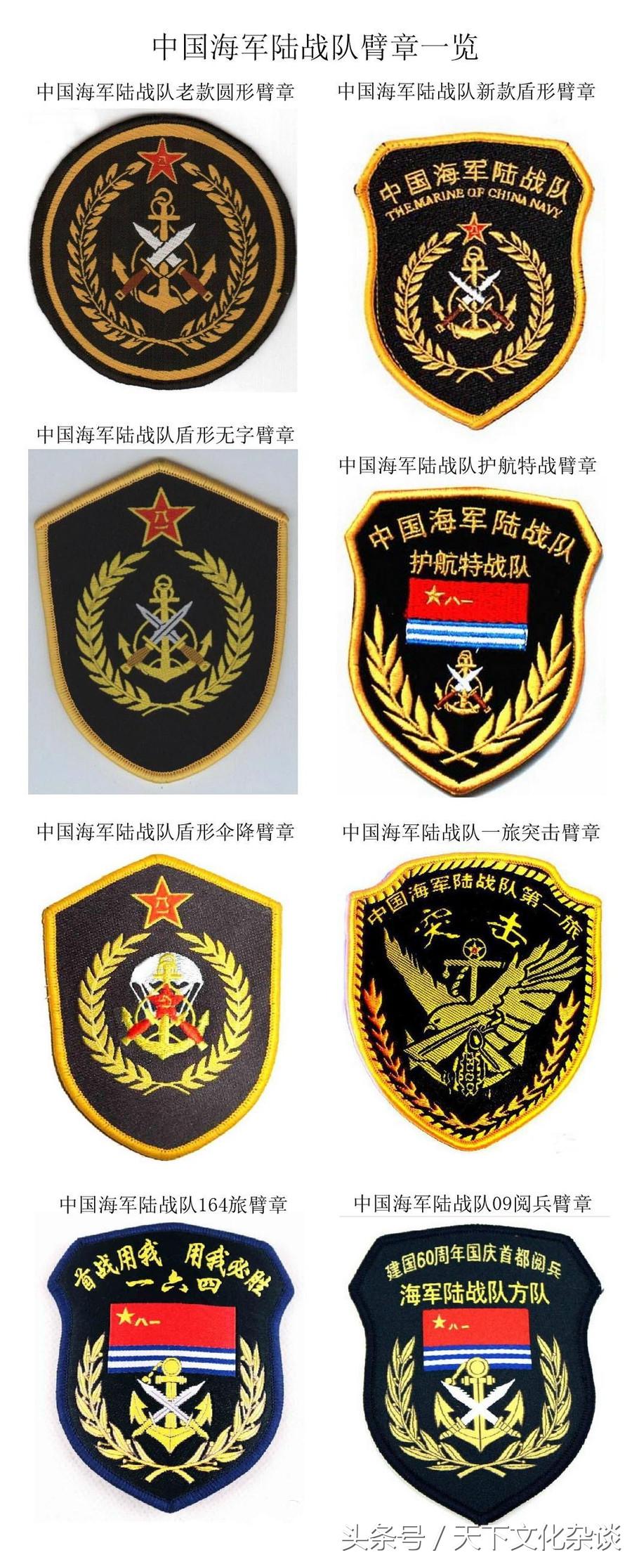 中國(guó)特種部隊(duì)排名臂章，榮耀與力量的象征，中國(guó)特種部隊(duì)排名臂章，榮耀與力量的標(biāo)志