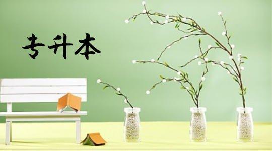 大專當(dāng)兵兩年回來專升本，探索軍旅生涯與學(xué)歷提升的雙贏之路，大專當(dāng)兵兩年歸來，實現(xiàn)軍旅與學(xué)歷雙贏之路的專升本探索