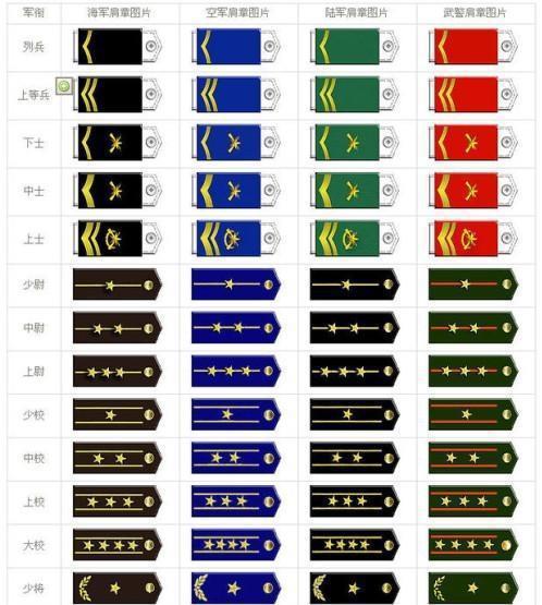 簡介/概述