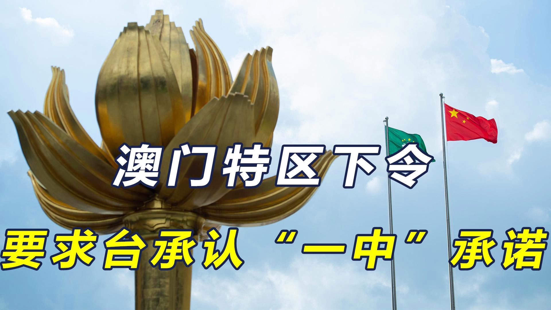 新澳門一碼一肖一特一中準(zhǔn)選今晚，探索預(yù)測(cè)的魅力與挑戰(zhàn)，探索預(yù)測(cè)魅力與挑戰(zhàn)，新澳門一碼一肖一特一中準(zhǔn)選今晚揭秘