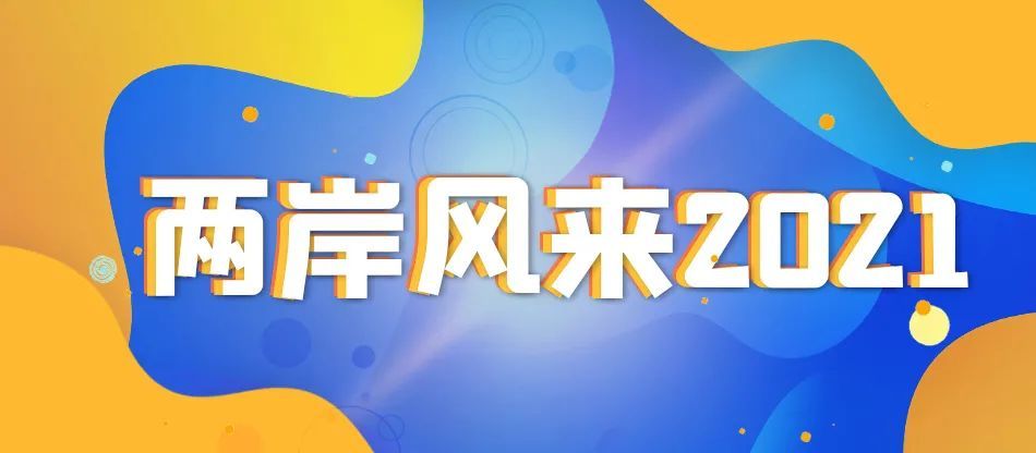 臺灣當局在2021年的回顧與展望，臺灣當局2021年回顧與展望，展望未來，深化發(fā)展之路