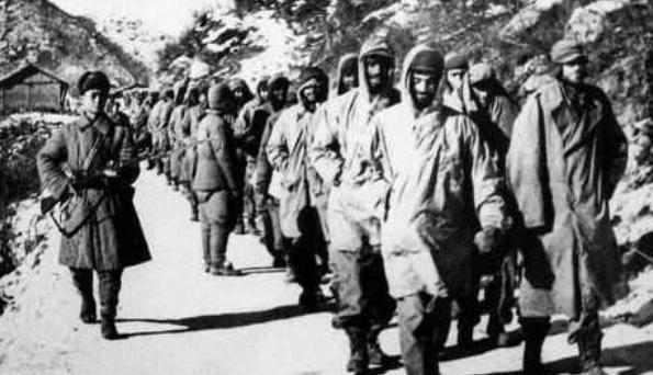 揭秘47集團軍司令部直屬隊偵查營，精英之師的神秘面紗，揭秘，精英之師——47集團軍司令部直屬偵查營的神秘面紗
