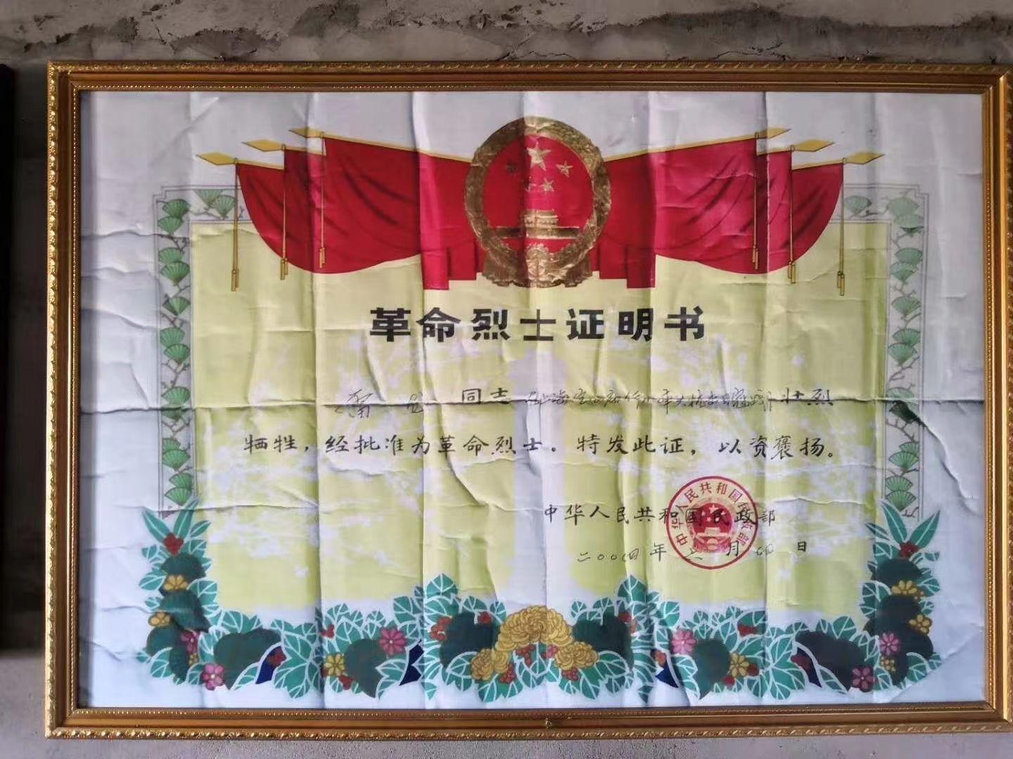 全球范圍內擁有四代半戰(zhàn)斗機的國家，全球四代半戰(zhàn)斗機擁有國家概覽