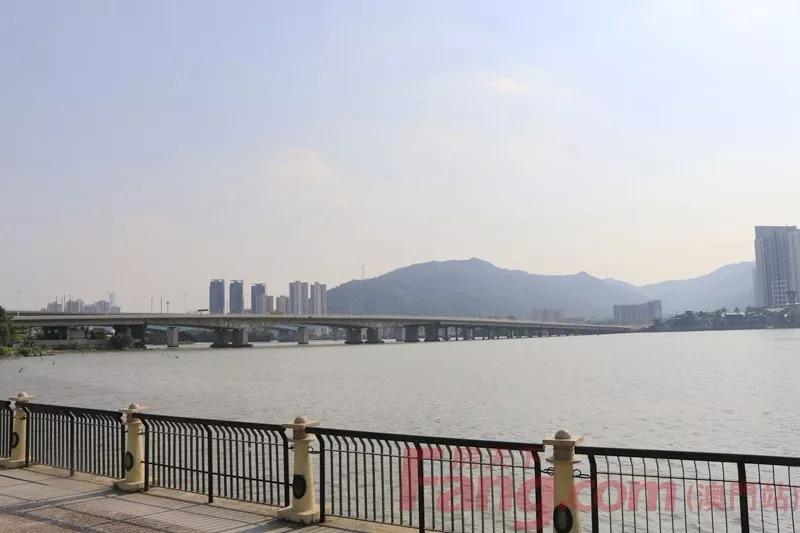 澳門六開獎結(jié)果第337期，開獎背后的故事與期待，澳門六開獎第337期背后的故事與期待揭曉