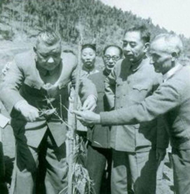 云南民國上將名單及其歷史貢獻(xiàn)，云南民國上將名單及其歷史貢獻(xiàn)概覽