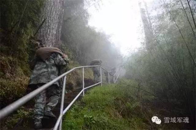 澳門 第44頁