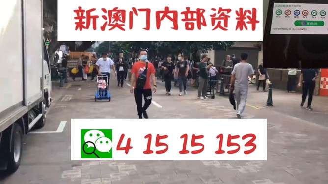澳門管家婆100中，探索數(shù)字世界的奧秘與魅力，澳門管家婆數(shù)字世界的奧秘與魅力探索