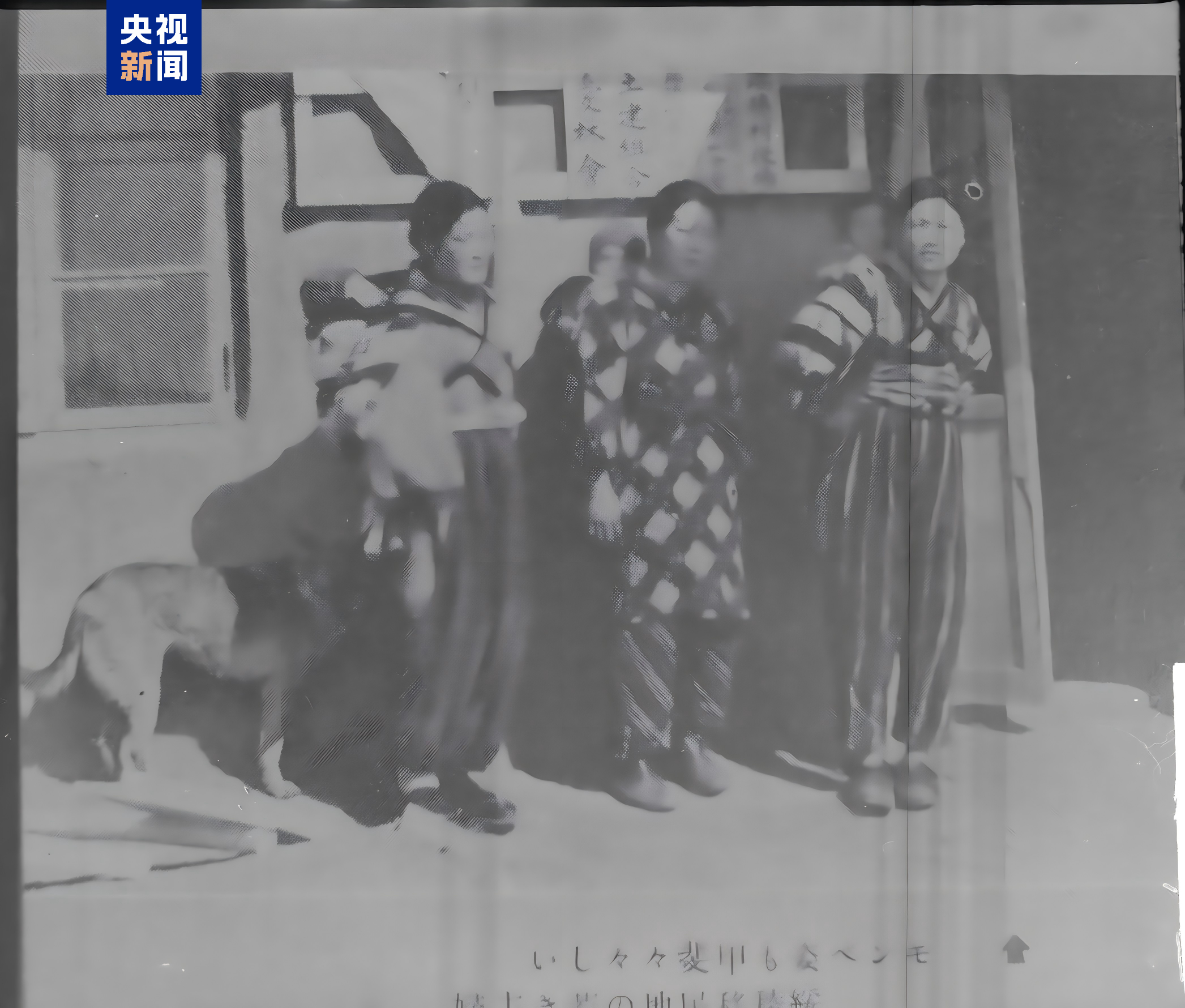 日本人現(xiàn)在想要在中國落戶移民的趨勢與動因分析，日本人在中國的落戶移民趨勢及動因分析