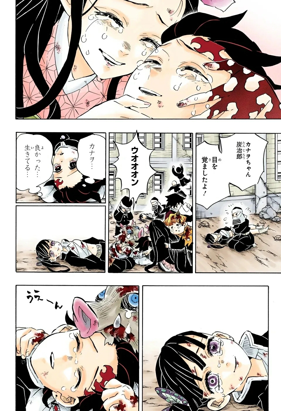 本子庫(kù)全彩鬼滅之刃的獨(dú)特魅力，鬼滅之刃本子庫(kù)全彩獨(dú)特魅力解析