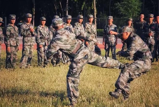 十四集團(tuán)軍的歷史與榮耀，十四集團(tuán)軍，歷史沿革與榮耀時(shí)刻