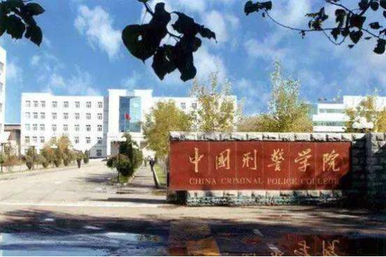 刑警學(xué)院與985高校，孰強(qiáng)孰弱之探討，刑警學(xué)院與985高校，孰強(qiáng)孰弱深度探討