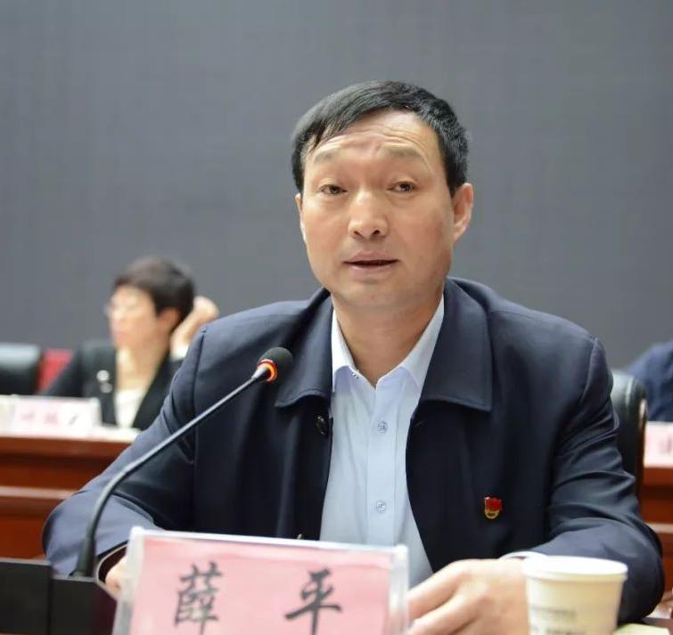 柳林簡歷，一位杰出人才的成長歷程，柳林成長歷程，杰出人才的奮斗軌跡