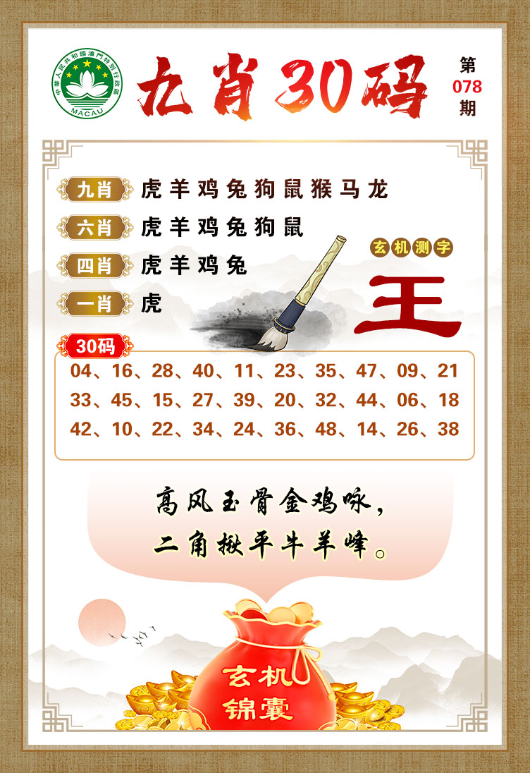 王中王一馬一肖期中現(xiàn)象深度解析，王中王一馬一肖現(xiàn)象深度解析報(bào)告