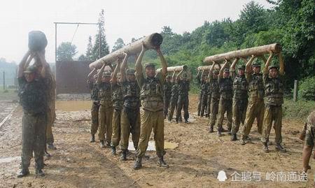 國際獵人學校含金量深度解析，國際獵人學校含金量全面解析