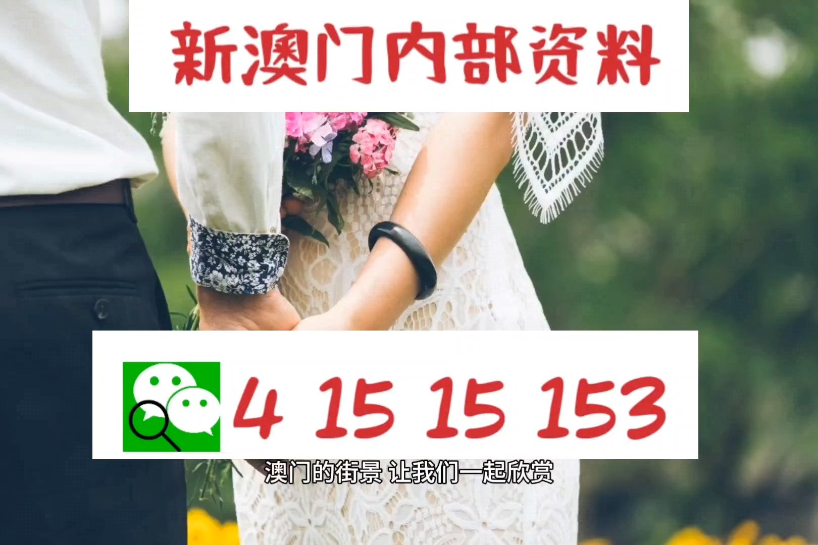 澳門論壇資料解析第15期，深入解讀841995現(xiàn)象，澳門論壇資料解析第15期，揭秘841995現(xiàn)象深度解讀