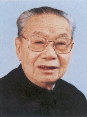 外交部副部長及其職責與數(shù)量解析，外交部副部長職責解析及數(shù)量概覽