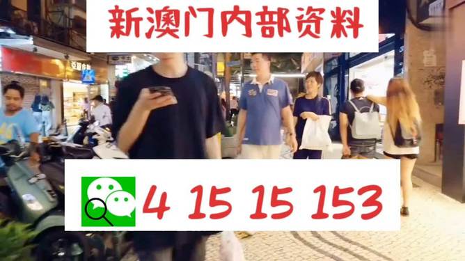 新澳門精準(zhǔn)24個(gè)碼，探索與解讀，新澳門精準(zhǔn)24個(gè)碼解讀與探索攻略