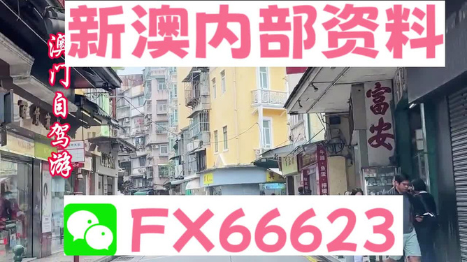 探索澳門錢莊，2025新澳免費(fèi)資料的深度解析，澳門錢莊深度解析，2025新澳免費(fèi)資料探索