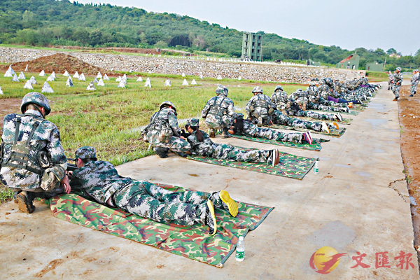 最震撼的實(shí)彈軍演視頻，展現(xiàn)力量與榮耀的瞬間，實(shí)彈軍演震撼瞬間，力量與榮耀的展現(xiàn)視頻