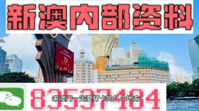澳門正版資料免費，探索與解析，澳門正版資料免費解析探索之旅