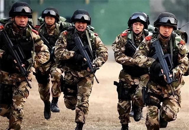 武警改革后剩余兵種概覽，武警改革后剩余兵種概覽，概覽與解析
