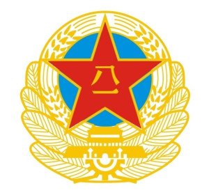 中國公安軍徽等級的圖片及其象征意義，中國公安軍徽等級圖片與象征意義解讀