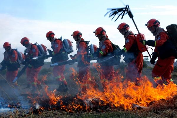 新疆軍區(qū)總兵力概況，新疆軍區(qū)總兵力概況簡(jiǎn)介