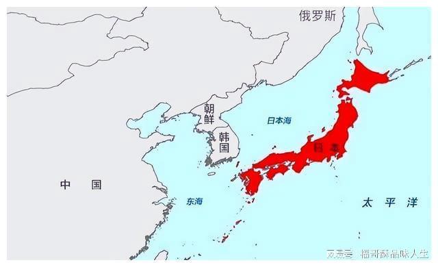 日本與中國，探尋優(yōu)勢與差異，中日優(yōu)勢與差異深度探尋