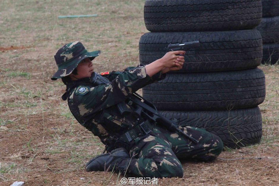 十四集團(tuán)軍的創(chuàng)立歷程及其歷史背景，十四集團(tuán)軍的創(chuàng)立歷程與歷史背景探究