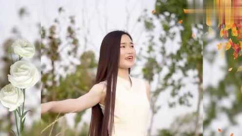 最親的人歌曲視頻，情感與記憶的交織，最親的人歌曲視頻，情感與記憶的交織