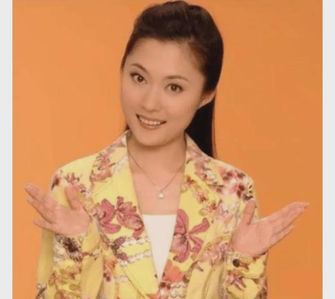 央視漂亮女主持人名單，璀璨星河的璀璨明珠，央視璀璨女主持人名單，璀璨星河的閃耀明珠
