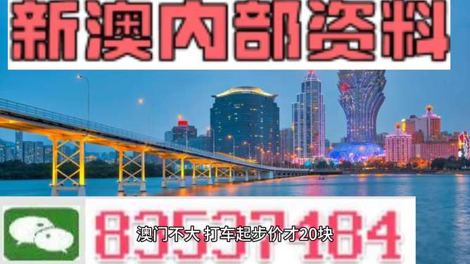 探索未來(lái)澳門(mén)——新澳門(mén)資料大全（第123期）展望至2025年，澳門(mén)未來(lái)展望，新澳門(mén)資料大全（至2025年展望）