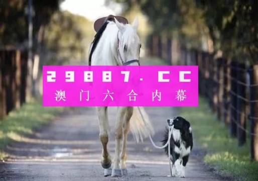 新澳一肖一碼，探索與解析，新澳一肖一碼，深度探索與解析