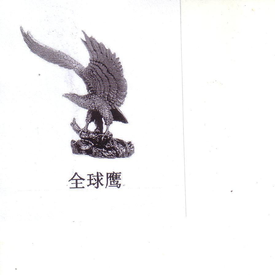 全球鷹航程，探索無(wú)界的飛行之旅，全球鷹航程，探索無(wú)界的飛行探險(xiǎn)之旅